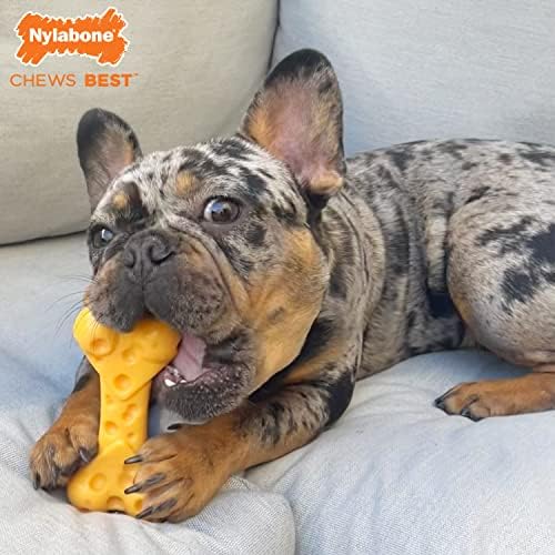 Nylabone Power Chew Cheese Bone Dog Chew Toy, Cheese Flavor, X-Large