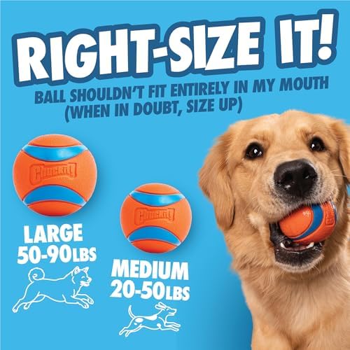 Chuckit! Ultra 18M Dog Ball Launcher for Fetch, 18-Inch Dog Fetch Toy and Interactive Ball Launcher, Includes 3 Medium 2.5-Inch Balls, for Dogs 20–60 lbs