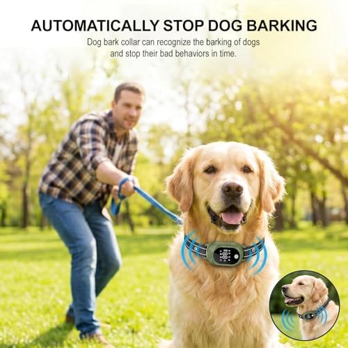 Dog Shock Collar with Remote Control, Shock Collar for Dogs,Green
