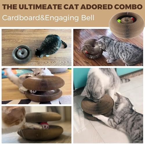 Interactive Cat Toy & Cardboard Cat Scratcher, Round Single-Layer Track