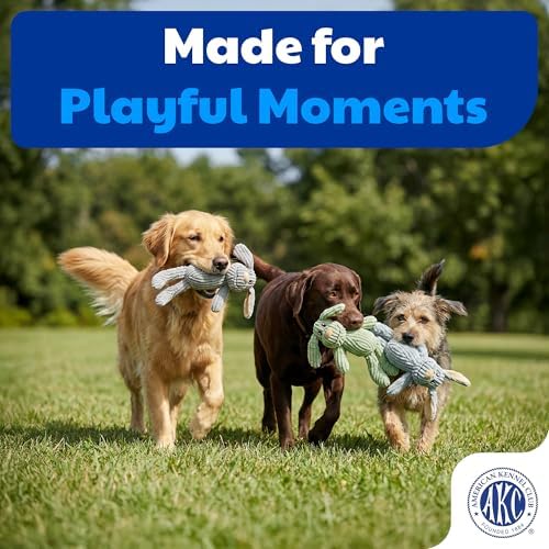 American Kennel Club Pixel Pups Dog Toy – Soft Plush Squeaky Toy for Toss, Fetch & Tug Play, Cozy Comfort Toy that Promotes Exercise for Small to Medium Dogs
