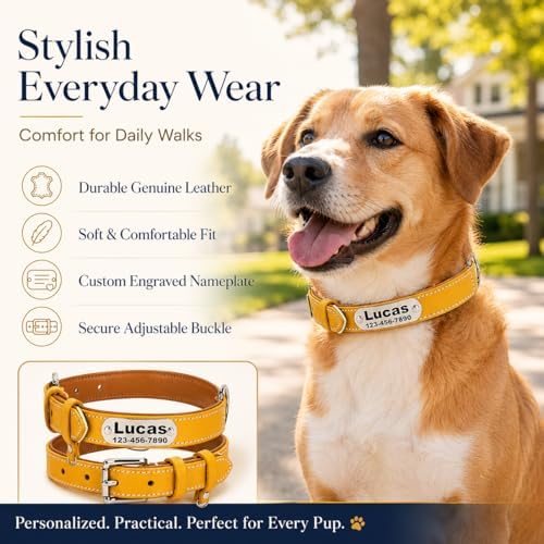 Personalized Genuine Leather Dog Collar with Name Phone Number-Yellow-S