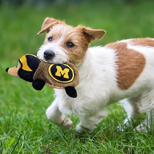 NCAA Michigan Wolverines Plush Hedgehog Toy for Dogs & Cats, Cool Soft Pet Toy for Fun and Interactive Play, Dog Chew Toy with Squeaker, Licensed Hot Pet Toy