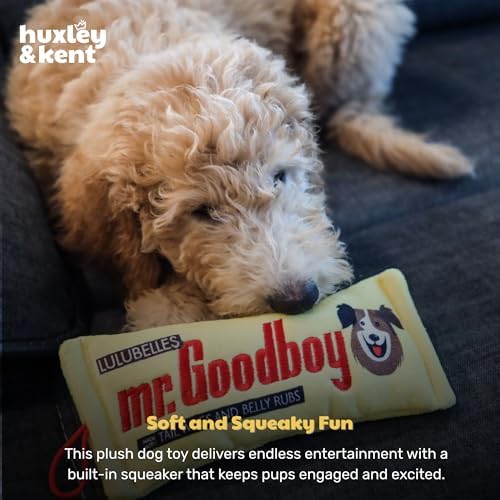 Huxley & Kent Power Plush Squeaky Dog Toy, Mr. Goodboy, Small