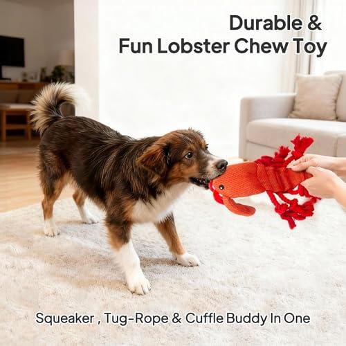 TwoEar Lobster Squeaky Dog Toys, Plush Chew Toy with Tug Rope