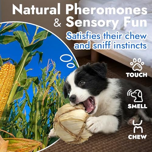 Natural Dog Chew Toys, 6pcs Woven Grass Chew Balls for Dogs, Dental Teething Toys & Interactive Fetch Toys, Outdoor Rattan Digestible Chew Ball for Boredom Relief and Teeth Cleaning
