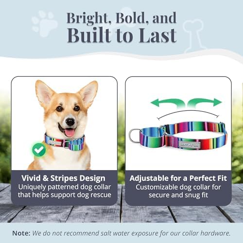 Lucky Love Dog Martingale Collar & Leash Set Cute – Nacho Color and, Small