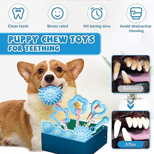 ABRRLO 6 Pack Puppy Teething Toys Cute Blue Puppy Chew Toys for Teething Small Breed Dog Chew Toy Interactive Pet Toy Set for Puppies to Keep Them Busy Soft Durable Small Breed Doggy Chewing Ball