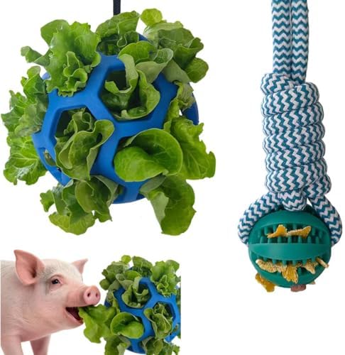 2PCS Pig Enrichment Toys, Mini Pig Supplies, Hanging Chew Ball with Rope + Replaceable Feeder Foraging Ball, Interactive Pig Enrichment Toy Set for Pigs, Treat Dispensing & Chew Activity Toy