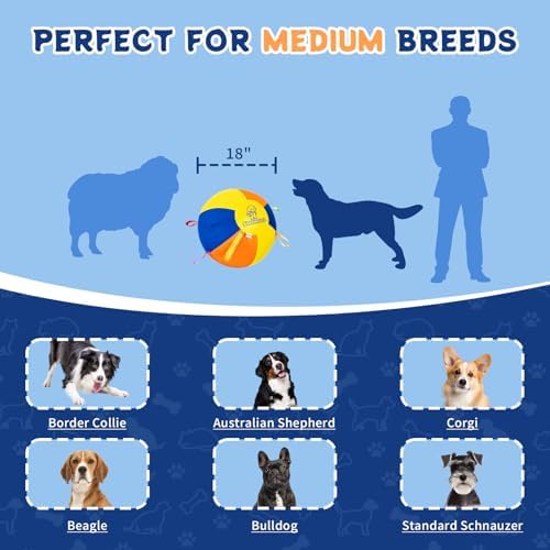 18" Herding Ball for Dogs, Large Dog Training Ball with Straps