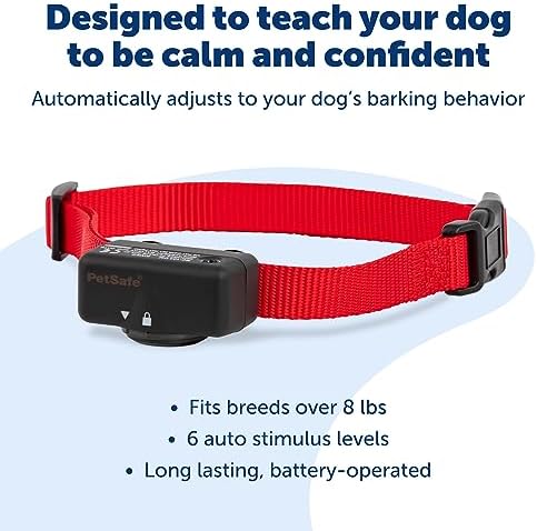 PetSafe Basic Bark Control Collar | Progressive Static Correction, Warning Beep, Includes Battery, Dogs 8 lb+, Neck 5-27 in