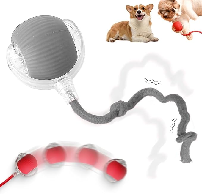 Interactive Rolling Dog Ball, 2026 New Automatic Interactive Dog & Cat Ball Toy, Self-Moving 360° Rolling Ball for Dogs & Cats (Gray)