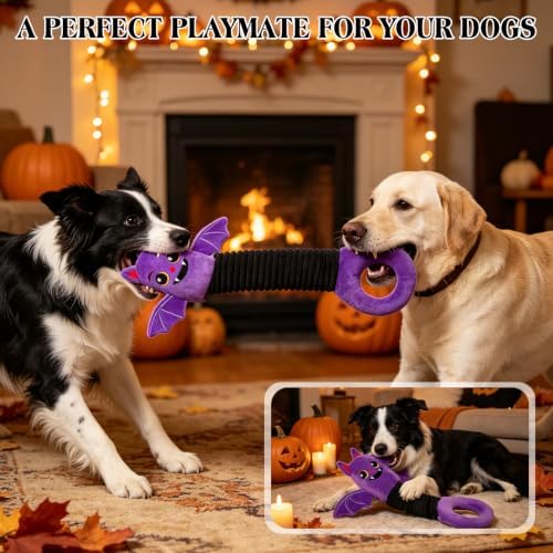 EXPAWLORER Halloween Squeaky Dog Toy - Durable Interactive Plush Bat with Squeaker & Crinkle, Stretchy Tug of War Toy for Small Medium Large Dogs to Keep Them Busy - Soft Pet Teething Stuffed Animal