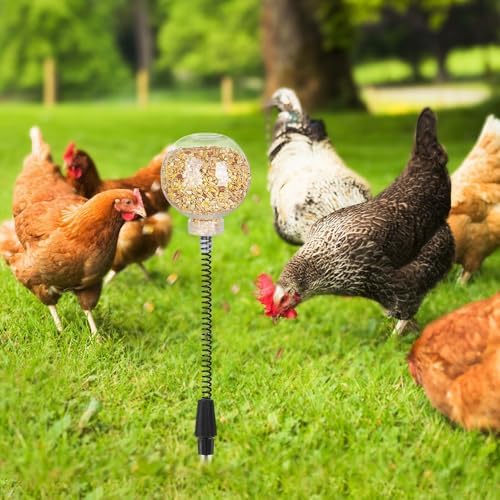 Kalekey 4 Pack Chicken Feeding Toy, Chicken Enrichment Toys with Spring and Ground Stake, Chick Treat Dispenser Peck for Hens Poultry Duck Birds Parrot Cat