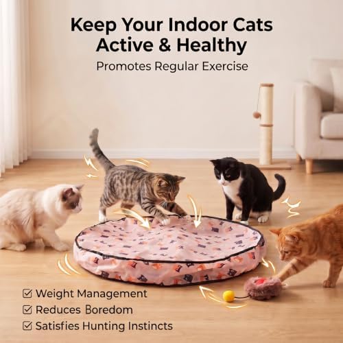 Meowball Mat, Interactive Cat Toy, Hide and Seek Cat Toy, Automatic Rolling Ball, for Indoor Cats, 1 Mat + 1 Ball，White