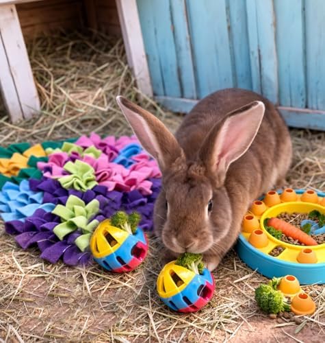 Rattle Balls for Pigs Rabbits Guinea Pigs Cats Small Animals Fun Noisy Interactive Playtime Toys You Can Also Add Treats