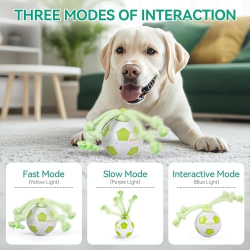 ALL FOR PAWS Interactive Dog Toys, Smart Dog Ball with Durable Rope, Automatic Moving and Rolling Ball Toys for Small Medium Large Dogs, Motion-Activated and USB Rechargeable