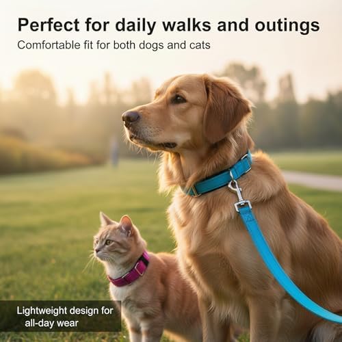 Reflective Dog Collar for XLarge Dogs Wide Padding 6 Holes Adjusta