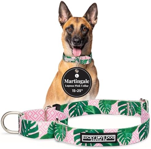 Lucky Love Dog Martingale Collar for Large Dogs No Slip – Laguna, Large