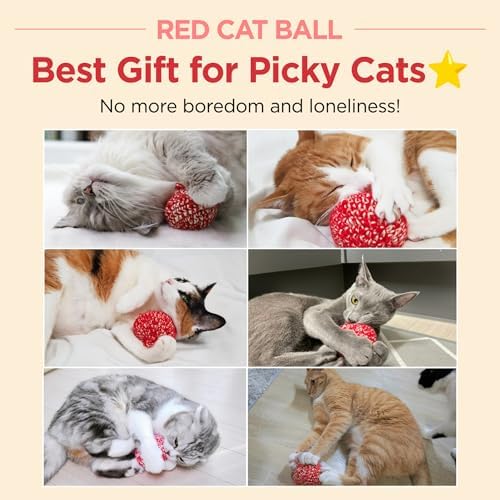 JAYU PET Red Cat Ball, 2.7 inch