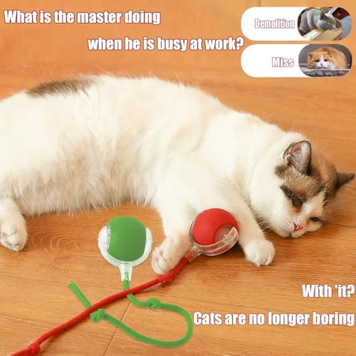 2025 New Interactive Dog Cat Toys Balls,Interactive Rolling Ball Cat Toy, 360° Smart Automatic Rolling Pet Ball, Fast Moving Toy for Dog and Cat(Green)
