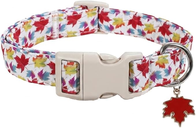 Fall Dog Collar, Dog Collar for Large Dogs, L