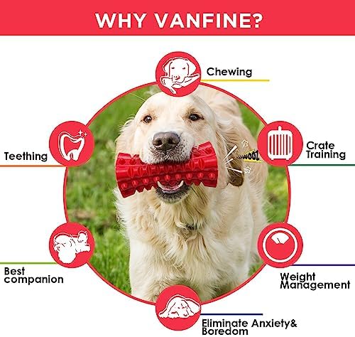 Indestructible Squeaky Dog Toy – Tough Rubber Chew Toy for Aggressive Large Dogs, Durable and Safe for Interactive Play