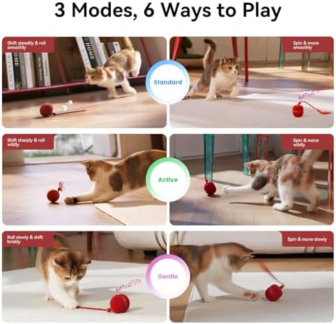 Cheerble 2 in 1 Interactive Cat Toys for Indoor Cats - Wicked Ball Duo2 Automatic Cat Toy, Dual Interchangeable Shells, Electric Moving Cat Ball with Tail & Chirping Sounds, Red