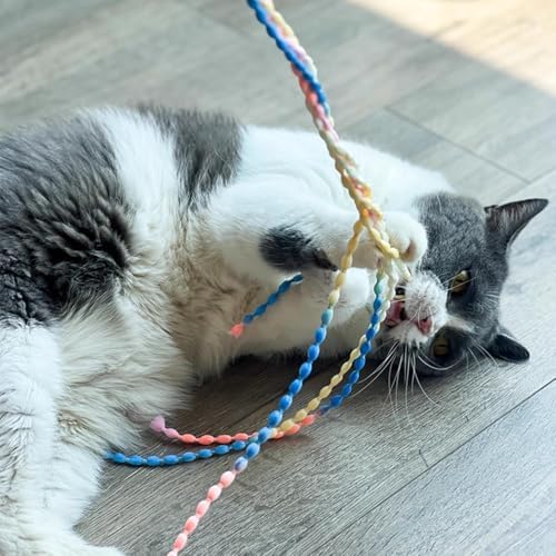 Cat Wands for Indoor, 3 PCS Vibrant Teasing Stick with Bell Interactive Cat Toys Cute Kitten Wand Safe Kitty Toy