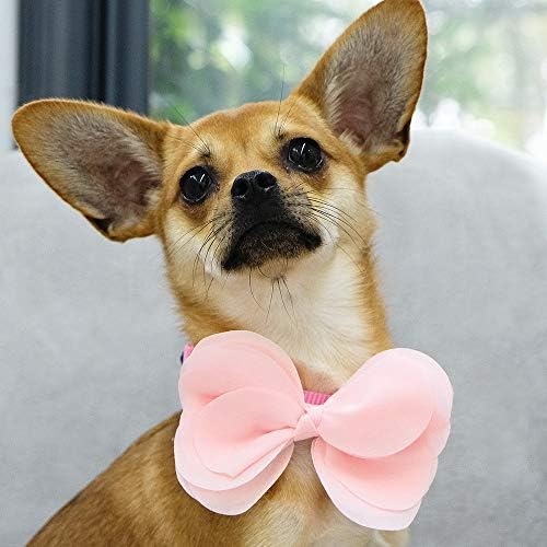 Blueberry Pet Cute Accessory Set of Floral Collar Slide Hair Clip and Pedant for Dogs & Cats, Pink Bowtie and Sunflower Pendant