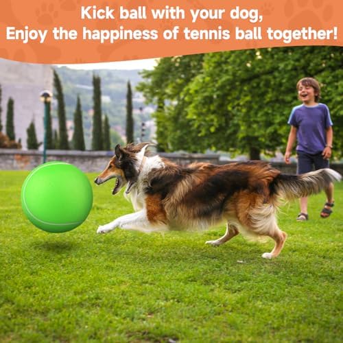 QDAN Tennis Ball for Dogs, 9.5 Inch Large Big Dog Toys Herding, 9.5 Inch