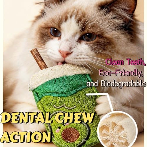 Natural Loofah Chew Cat Toys Janpanese Style, Dental Care Silvervine Sticks for Indoor Cats and Kittens, Milk Tea Cup-Shaped Catnip Treat Toys (Green)