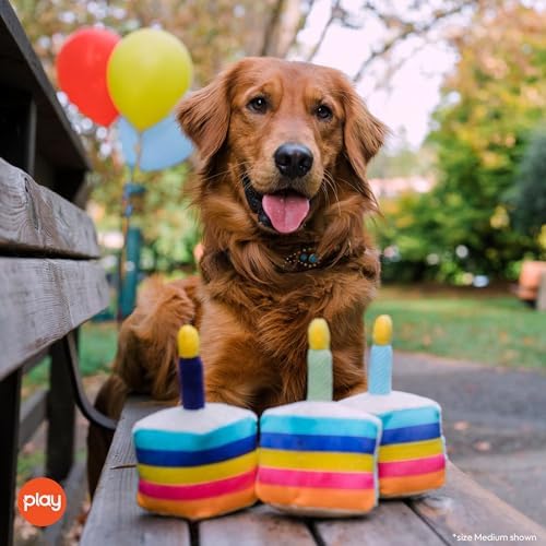 P.L.A.Y. Cute Plush Dog Toys - Birthday Party Celebration Themed Durable Squeaker Chew Toy, for Puppies & Small, Medium, Large Dogs - Machine Washable, Recycled Material (Bone-appetite Cake, Medium)