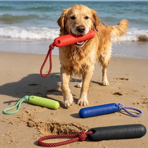 PUPTECK Interactive Dog Pool Toys Water Floating Toys Fetch Training Bumpers 4 Pack, Red Black Blue Green