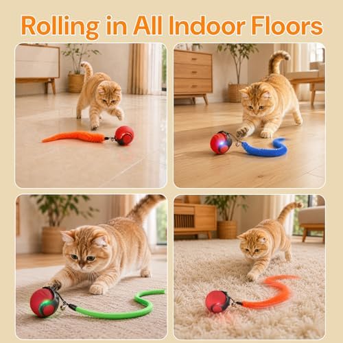Interactive Cat Toys with Bird Sounds & 3 Speed Modes for Indoor Cats Play | Bird Sounds, 3 Speed Modes, Rechargeable Automatic Rolling, 3 Tails, Fast Charging Ball, For Indoor Cats on Hard Floor Carpet