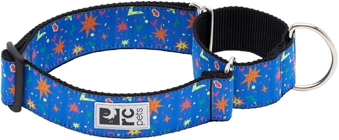 RC Pets All Webbing Training Collar M Popstar