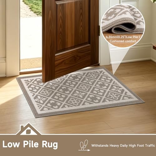 Ileading Indoor Door Mat 2x3ft, Absorbent Muddy Mats for Dogs, Low-Profile Entrance Welcome Mat with Non-Slip Rubber Backing, Washable Runner Carpet for Hallway,Entryway,Kitchen (Beige)