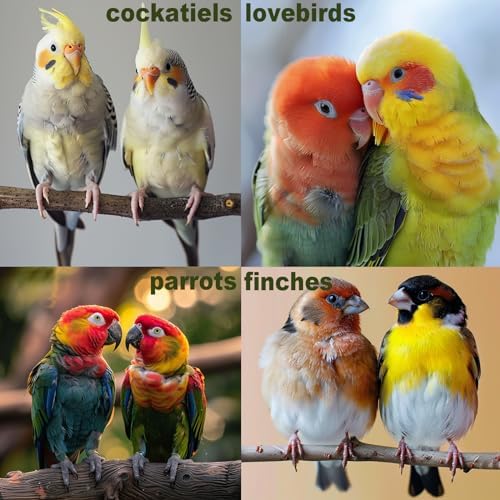 Bird Toys for Parakeets 7Pcs, Wood Parrots Budgie Cage Accessories