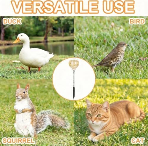 2 Pack Chicken Pecking Toys, Chick Interactive Slow Feed Enrichment Toy, Chicken Swing Feeder with Spring and Ground Stake, Coop Accessories for Hens Poultry Duck Birds Parrots