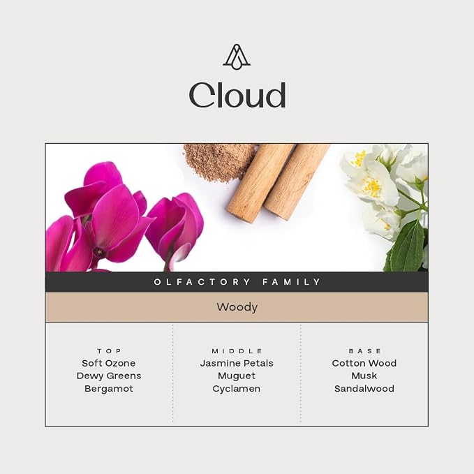 AromaPlan Hotel, Home Luxury Scents, Cloud 5.07 Fl Oz (150ml) | Fragrance for Cold Air & Waterless Diffuser Oil | Home Luxury & Hotel Scent for Aromatherapy- USA Made, Bigger Bottle & Longer Lasting