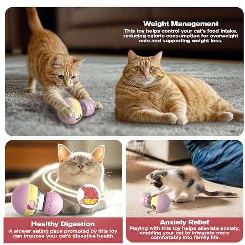 TLKNG Cat Enrichment Toy, Treat Dispenser Ball for Indoor Kitten Puzzle Toy