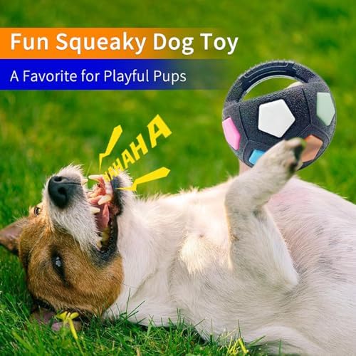 YoFellas Dog Toy Ball with Handle – Durable Squeaky Fetch Ball for Medium & Large Dogs, Floating Interactive Chew Toy for Water Play, Training & Outdoor Games