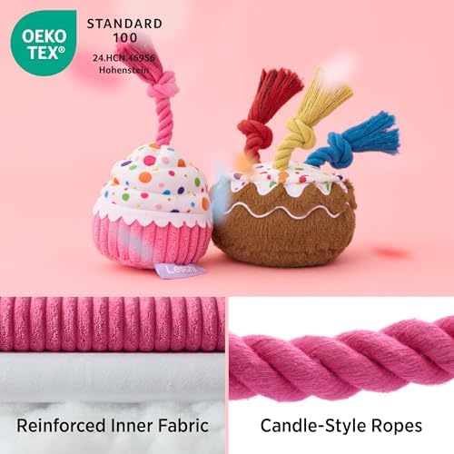 LE SURE Cute Squeaky Dog Toy for Gentle Chewers,Dog Birthday Cake Toy