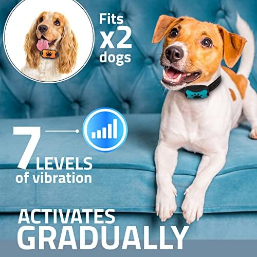 PawPets Rechargeable Anti Bark Collar - No Shock Training Dog Collar - Humane with Vibration and Sound Barking Collar for Small Medium Large Dogs - 2 Pack Blue Orange (Rechargeable)