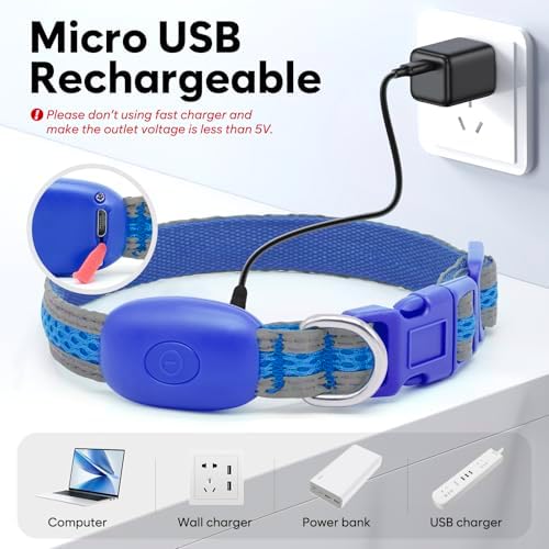 Flashseen LED Dog Collar, Light Up Dog Collar USB Rechargeable, Blue, XS