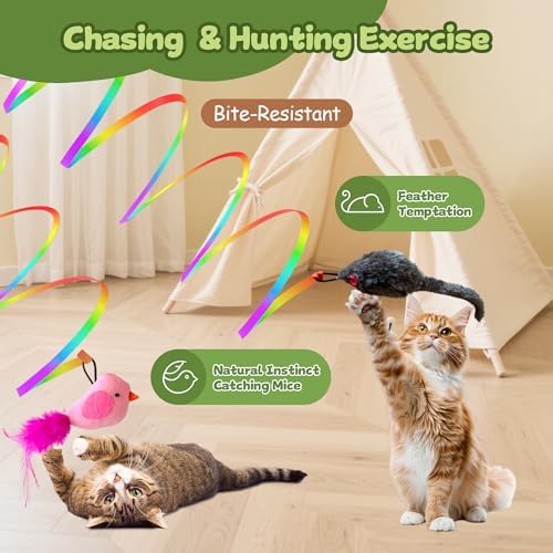 Interactive Cat Toys for Indoor Cats,Electric Flying Bird & Mouse Wand Teaser, Automatic Hanging Door Frame Chase/Hunt/Exercise Stimulate Feather Cat Toy for Bored Indoor Adult & Kitten (Dark Green)
