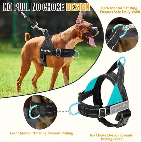 Lukovee No Pull Dog Harness and Leash Set, Soft Padded for Large Medium Dog