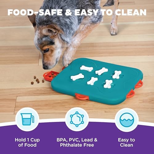 Outward Hound Nina Ottosson Dog Casino Dog Toy Treat Puzzle, 14" | Level 3 Advanced, 6 Hidden Treat Compartments, Holds 1-1/2 Cups, Wet or Dry Food, Interactive Enrichment, Dogs & Puppies