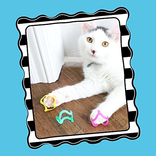 Petmate Interactive Cat Toys - Cat Crazies Multi Pack, 4 Count (Pack of 2)