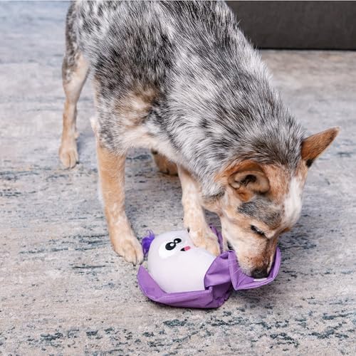 Outward Hound by Nina Ottosson Hide N' Find Interactive Plush Dog Puzzle, Durable Dog Toy, Plush Enrichment Toys, Cauliflower, Purple